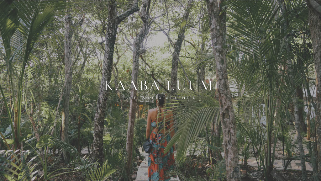 1745247829865-613ba58e-e4ae-4052-a4c8-a930c91fd925_1