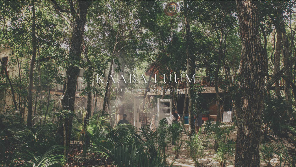 1745247829865-613ba58e-e4ae-4052-a4c8-a930c91fd925_11