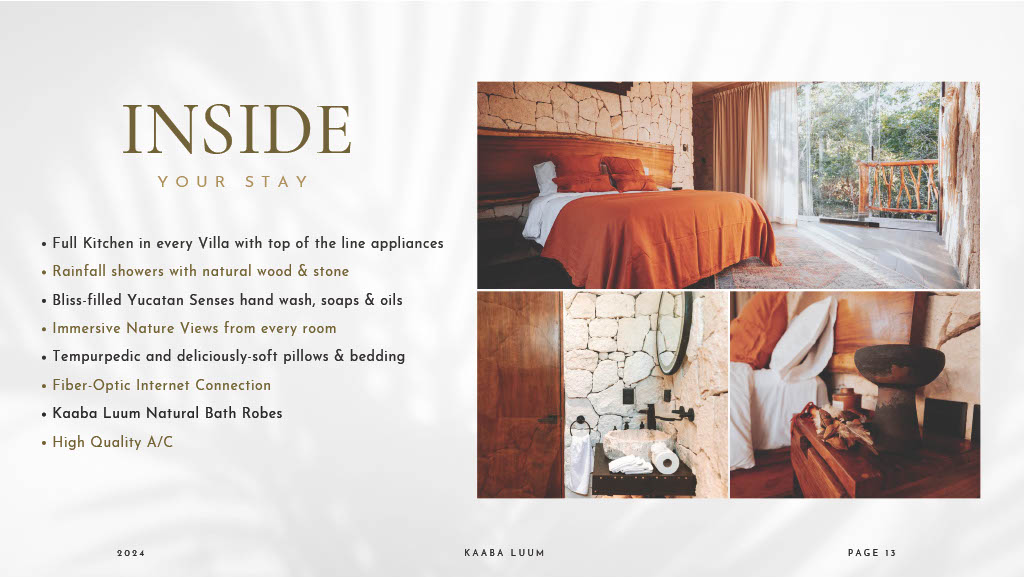 1745247829865-613ba58e-e4ae-4052-a4c8-a930c91fd925_13