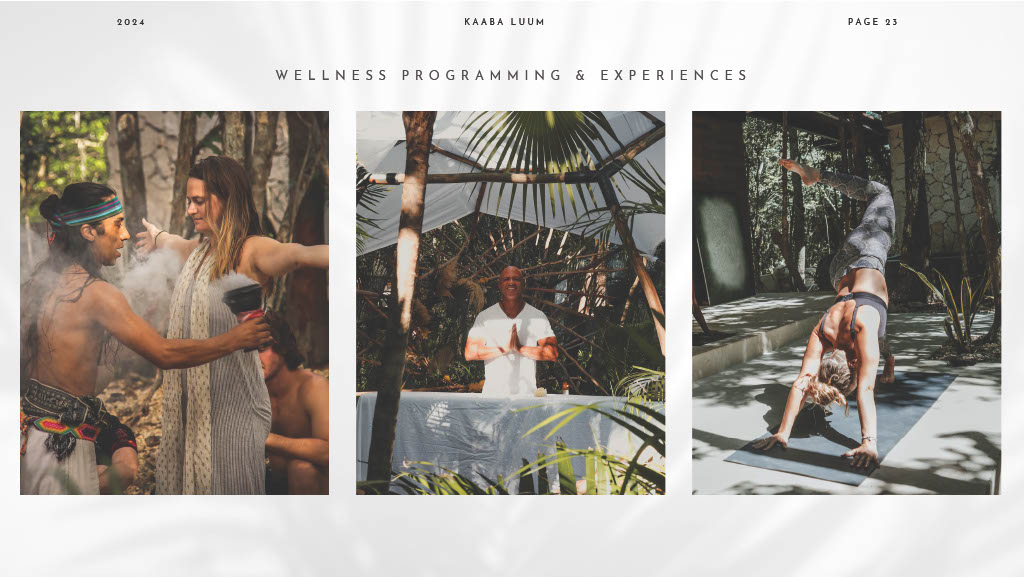 1745247829865-613ba58e-e4ae-4052-a4c8-a930c91fd925_23