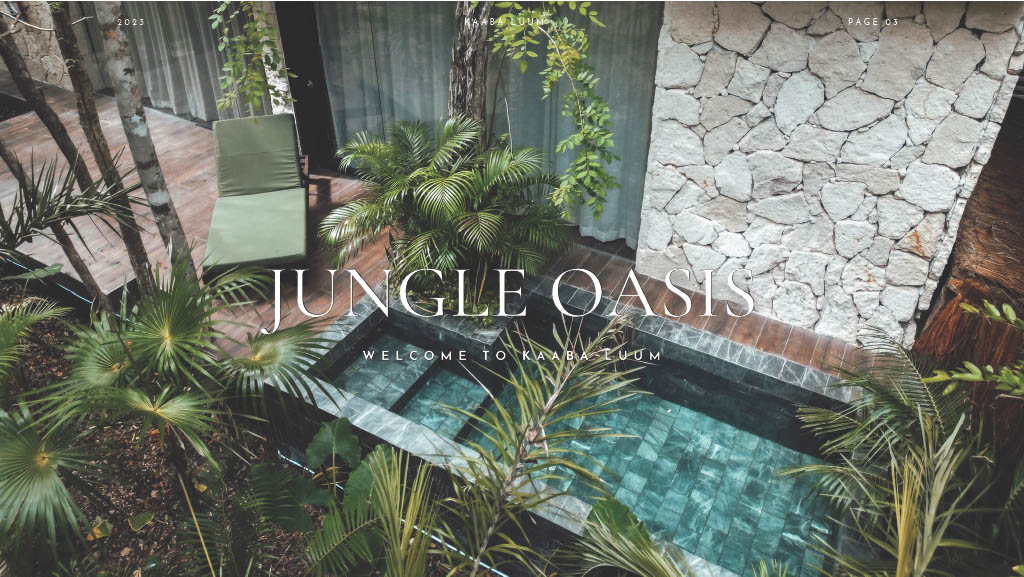 1745247829865-613ba58e-e4ae-4052-a4c8-a930c91fd925_3