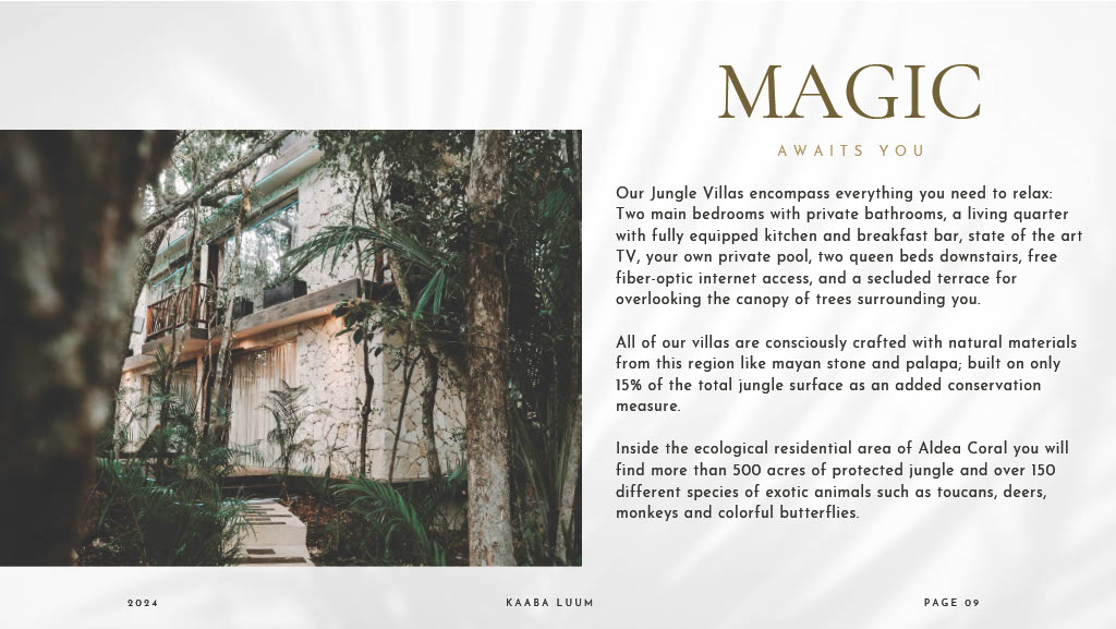 1745247829865-613ba58e-e4ae-4052-a4c8-a930c91fd925_9